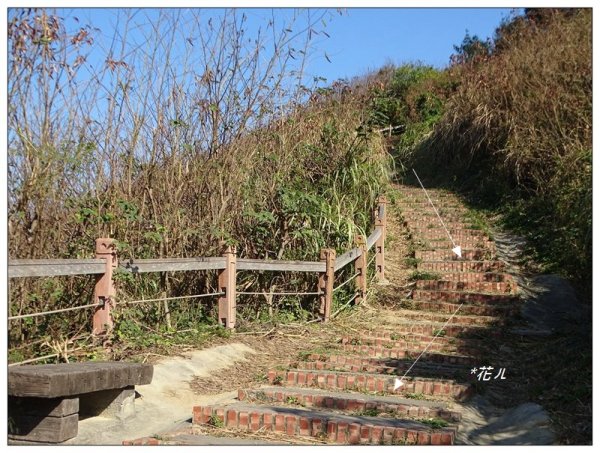 三媽縱走 ( 半天寮山、好望角、白沙屯山 連走 )2973249