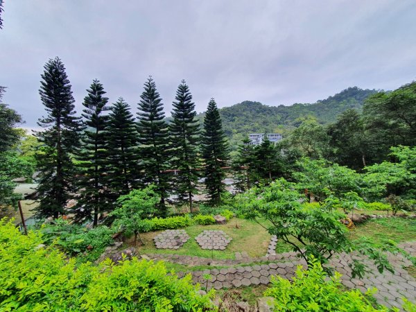 土城牛埔頭山，大安圳賞蝶步道，中和國旗嶺，鄧公嶺，長壽山，白馬寺，羊稠森林步道1651345