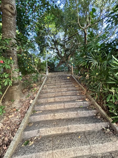 天母古道 + 紗帽山2913873