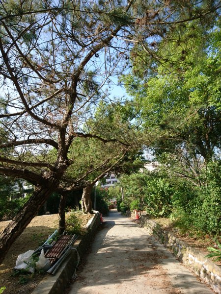 通霄神社-虎頭山700056