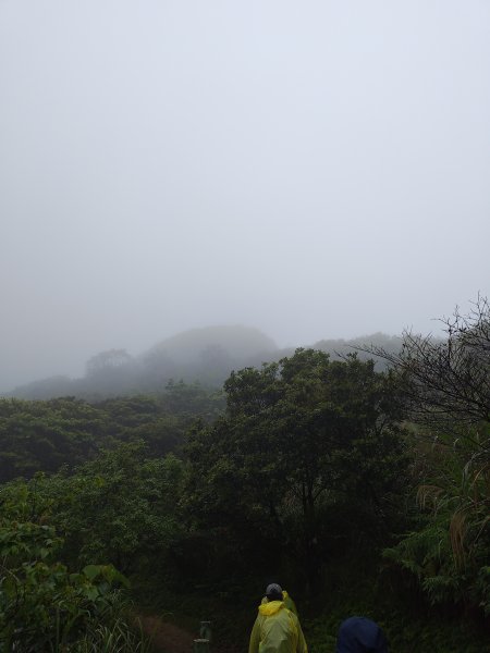 20260327茶壺山3024503