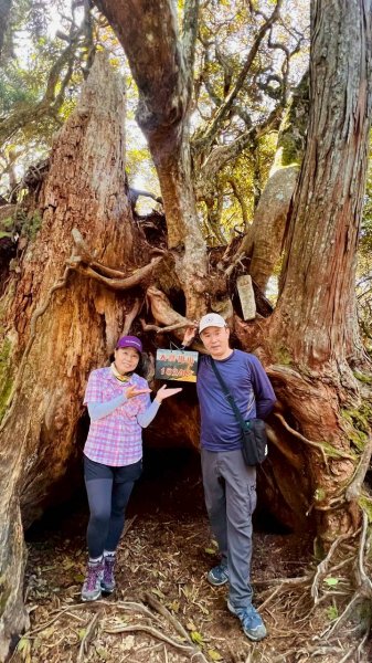 🌈11/9(日)高島縱走~高台山連走島田山山徑✨FB：熊熊趴爬走🌈2932495