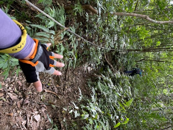 烏來西坑林道/探勘派出護管所彈藥庫遺址至獅坑橋2576297