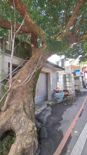 台北大縱走第一段1249169