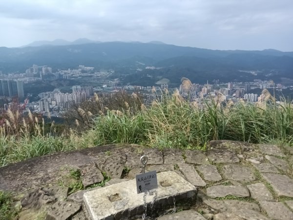 大尖山櫻花-龍船洞-秀峰瀑布2733735