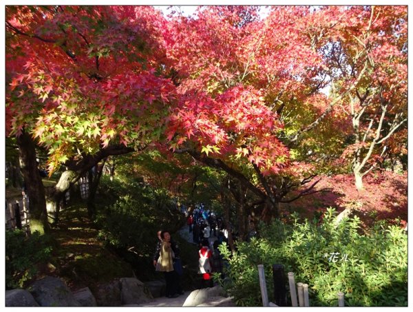 京都/東福寺的紅葉755255
