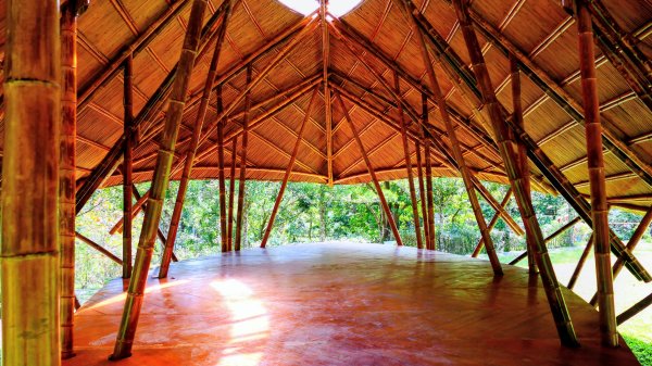 知本森林遊樂區3015068