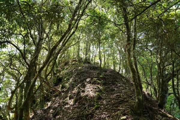 新竹 五峰 油羅山、霞山2798267