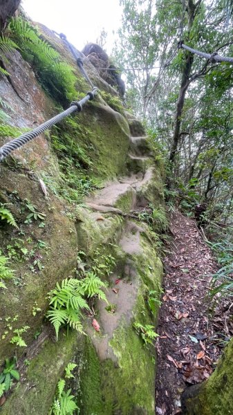 微笑山⛰️線-大棟-二格山-五分山-天上山-鳶山💎12條步道完成💙2834175