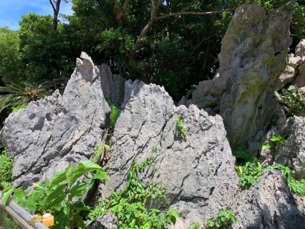 大石林山672533