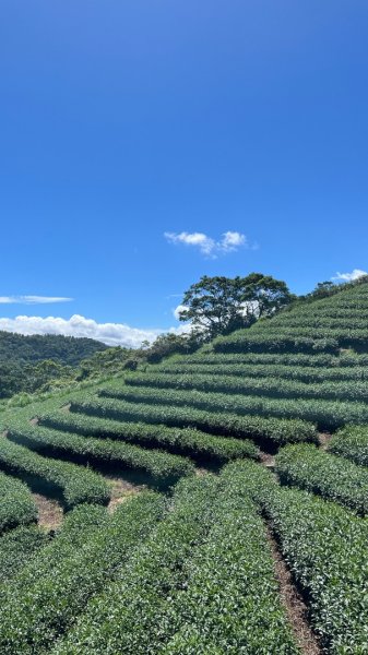 石碇_鱷魚島、千島湖2874905