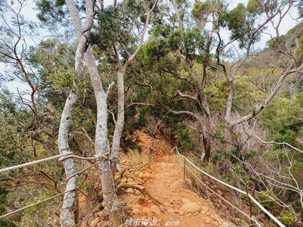 【苗栗。 三義】台灣百大必訪步道。 編號38小百岳-火炎山步道1572258