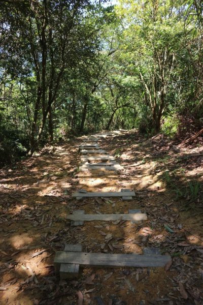 〔石碇〕鱷魚島🐊🐊🐊，晴空萬里下的萌萌淡碇鱷   最美。石碇 千島湖 土虱頭  永安景觀步道2213360
