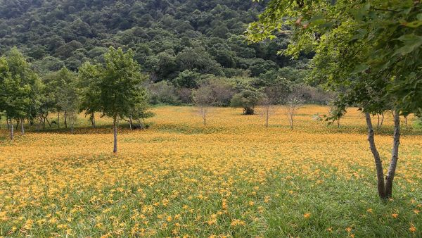 玉里鎮及赤科山之行401276