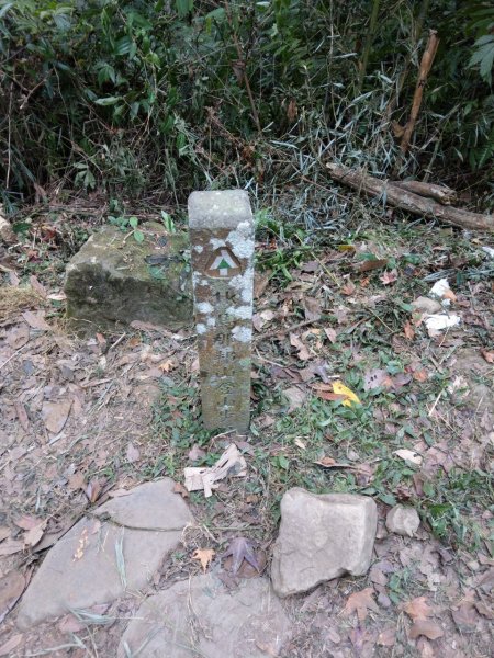 2019.12.01 苗栗馬那邦山761523