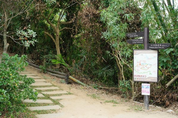 臺中 太平 三汀山、埤頭山2638044