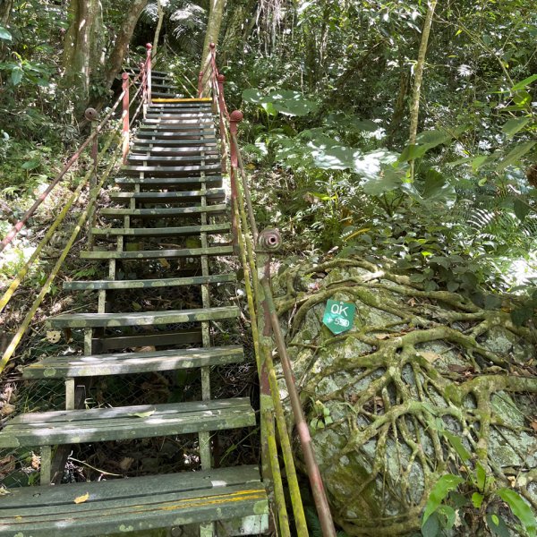 20251011_立霧山認證點（花蓮小百岳）2941273