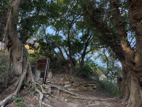 金門五虎山步道2692326