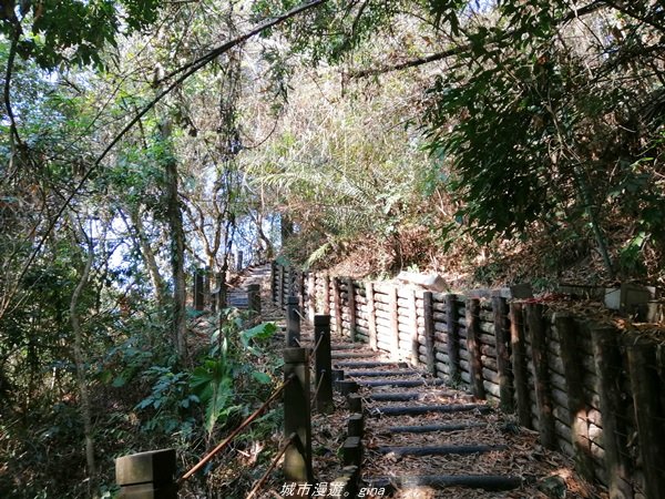 台中~仙氣繩橋山林環繞。 蝙蝠洞登山步道1295483