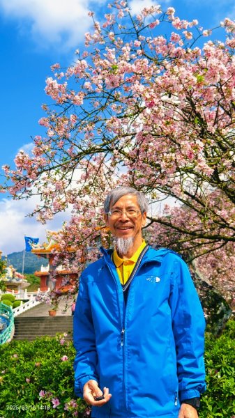 #綠繡眼 訪花 #吉野櫻 #天元宮 #楓樹湖 03162736701