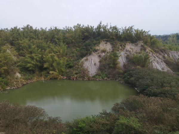 [台南左鎮][三]牛牡嶺、竹子鳥山