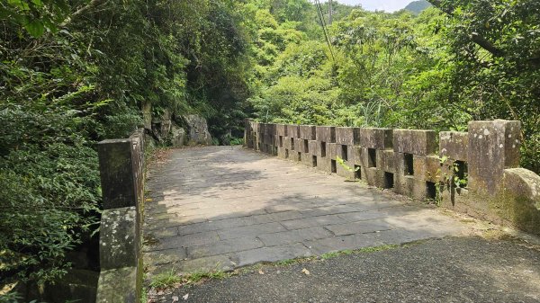 20250625遠望坑口-遠望坑崙-176峰-陸軍路礦864-遠望坑山O型2826165