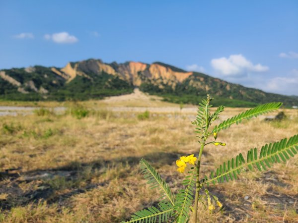 小百岳苗栗火炎山(602m)北鞍線大O走1858486