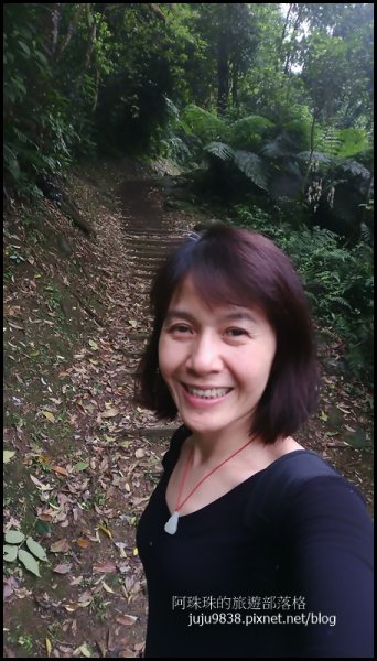    十一指古道包場賞桐花573594