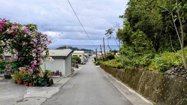 《踏莎行。太麻里山春色》2720552