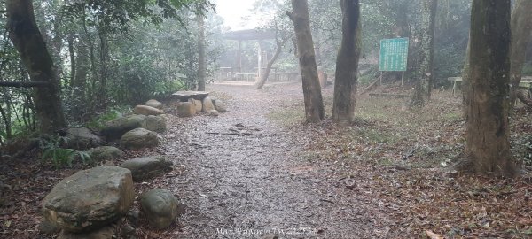 《苗栗》霧雨寒流｜三義三角山步道202512252969233