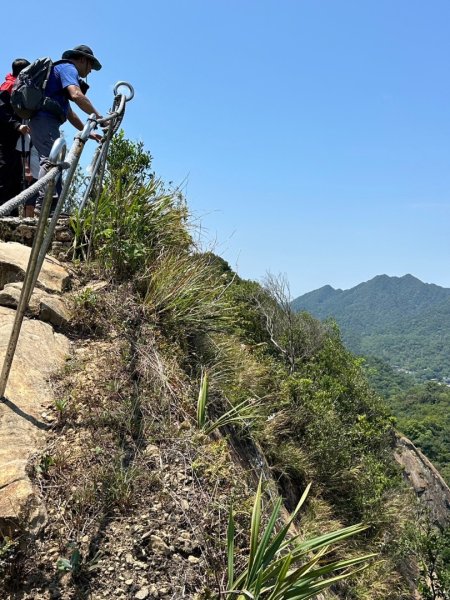 孝子山、普陀山、慈母峰賞鹿子野百合O走2592960