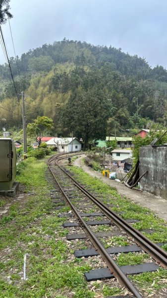 雲嘉連峰/青年嶺/水社寮2750443