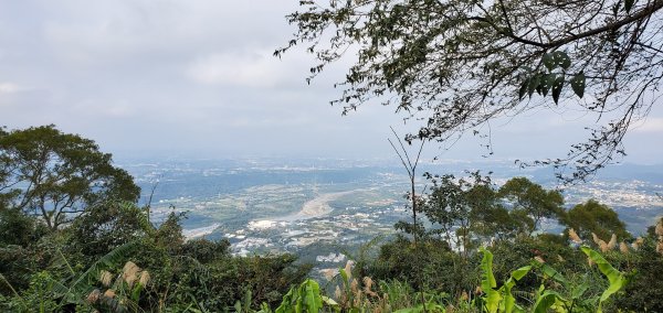 2022-01/09-桃園大溪-溪州山1578434