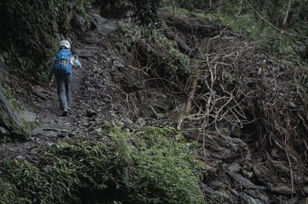 瓦拉米步道-佳心營地住一晚2708463