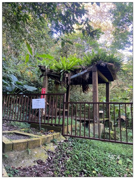 鳳凰谷鳥園步道2695906