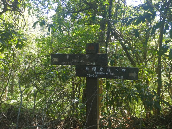 2025.10.10－微笑山線：【二格山系】皇帝殿稜線2919507