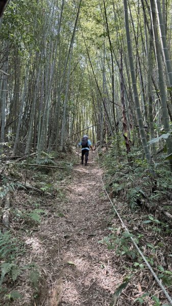 20240429 桃園復興枕頭山薑母島2492293