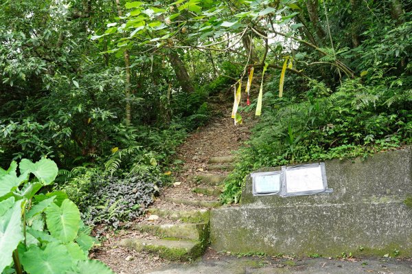 臺北 文山 指南山、猴山岳、魚衡山、大前坑山、猴山坑山、祥光寺後山、金頭山2774962