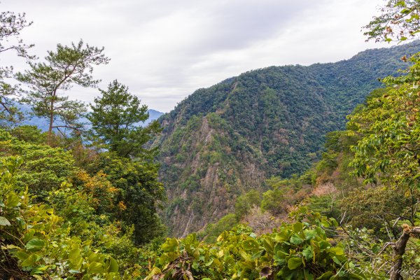 谷關七雄_波津加山2977566
