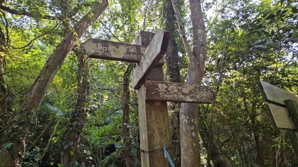 20251215林口森林步道+太平嶺海濱步道2969357