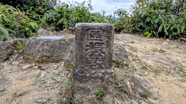 七二法則的倍數樂章2984129