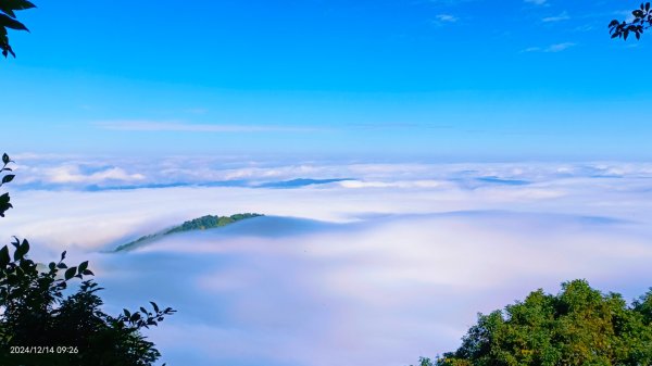 二訪馬拉邦山，解鎖 #琉璃光雲海 #日出雲海  #血月 #斜射光 #楓葉紅了！2668586