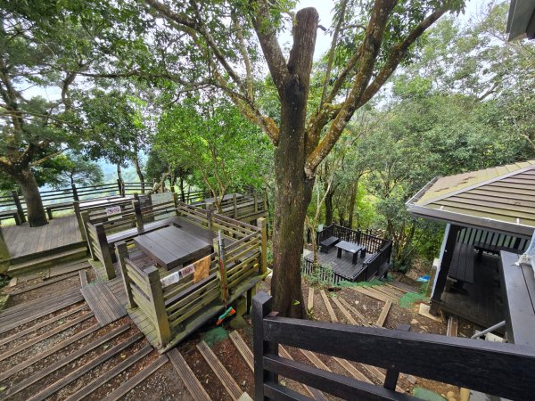 台中大坑4號登山步道2751092