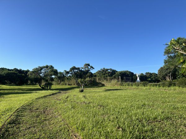 [屏步青雲 尋寶任務-07/10] 2024_1006 社頂自然公園步道2616774