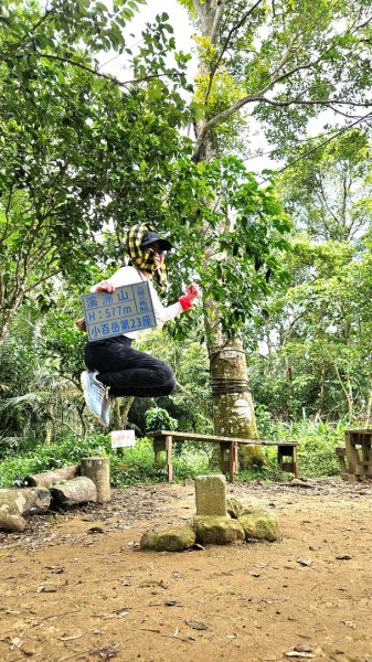 大溪大九芎步道上小百岳溪洲山(H577m)2844316