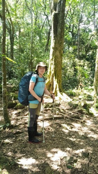 外鳥嘴蓮包山O縱2893183