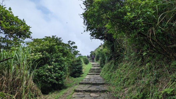 112.05.21走遍陽明山尋寶任務之夢幻湖-七星山2159480