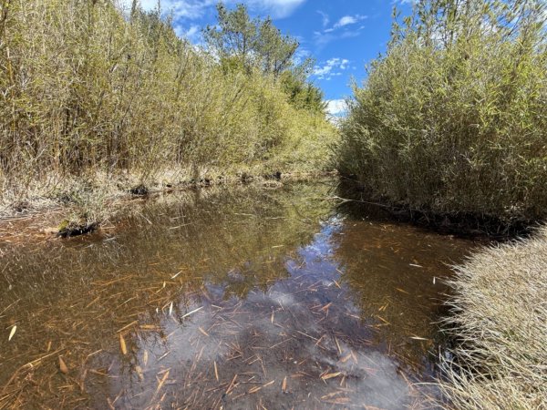 2025/03/02 白姑大山單攻2728507