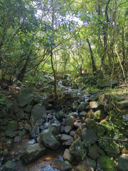 2025.04.27－金包里大路~小油坑縱走2770909