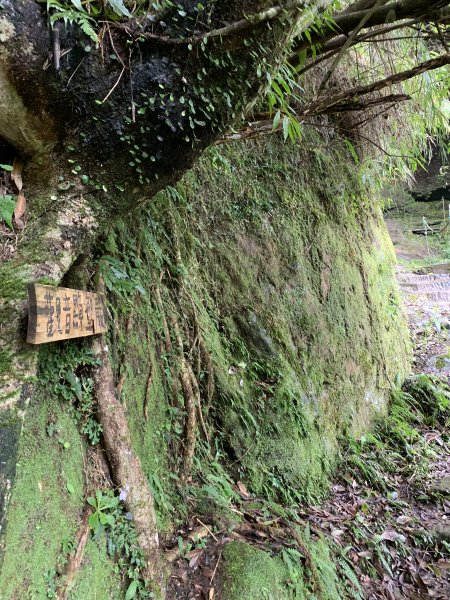 孝子山、慈母峰及普陀山860504